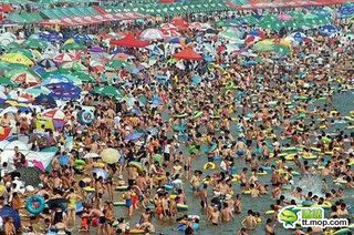 Illustration for article titled China's Swimming Pool Insanity Will Melt Your Mind